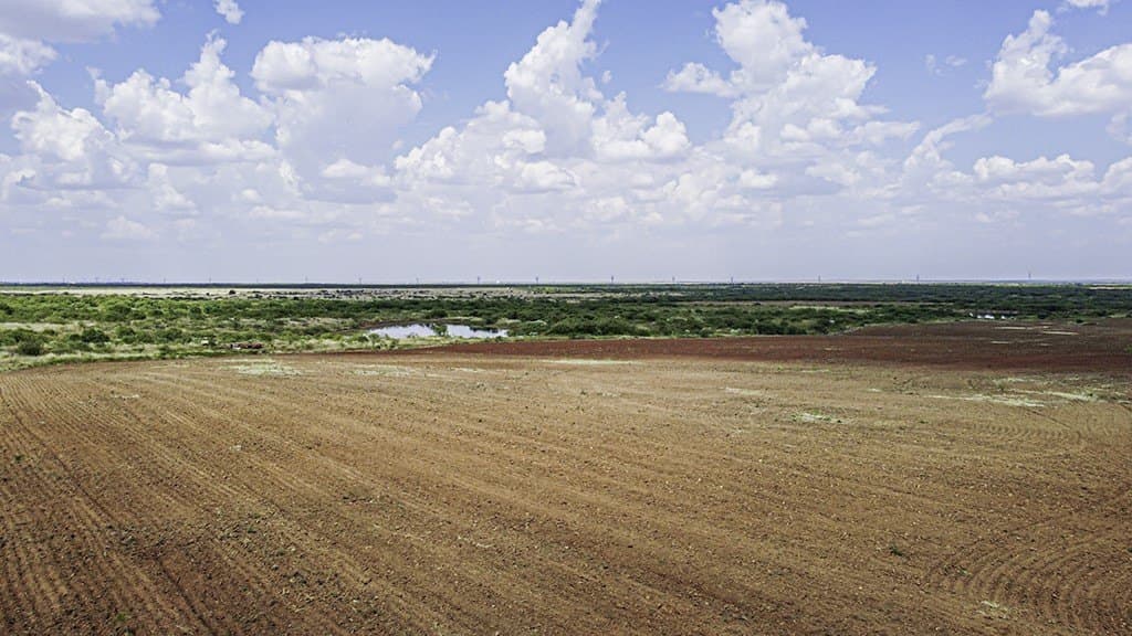 376.75 acres in Wichita County - photo 5