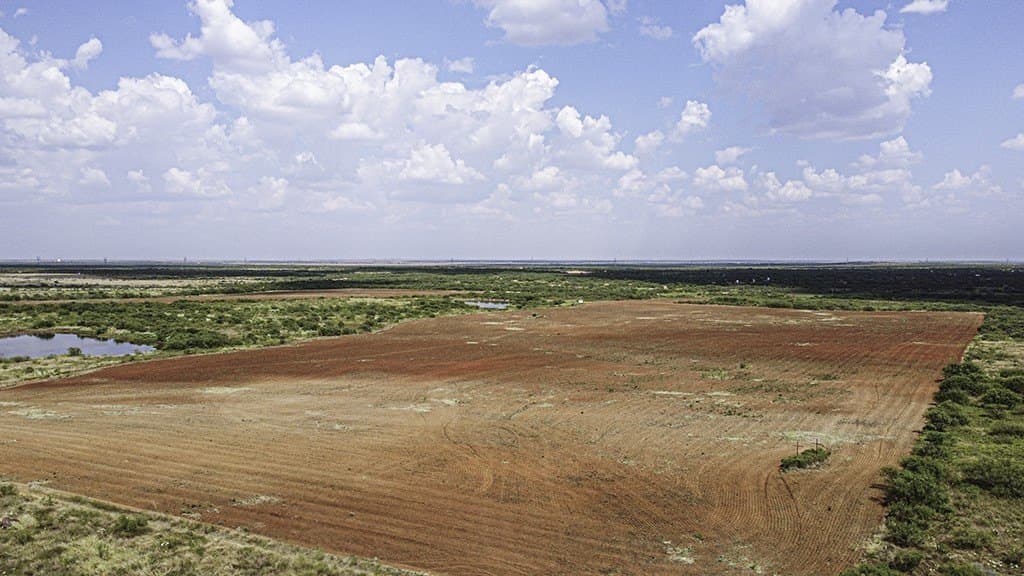 376.75 acres in Wichita County - photo 17