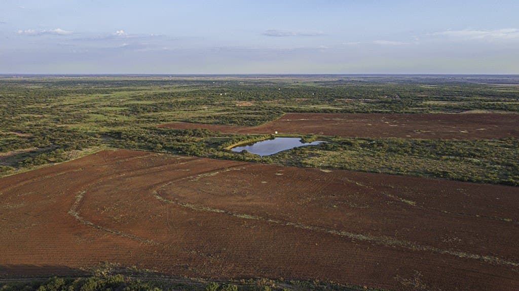 376.75 acres in Wichita County - photo 10