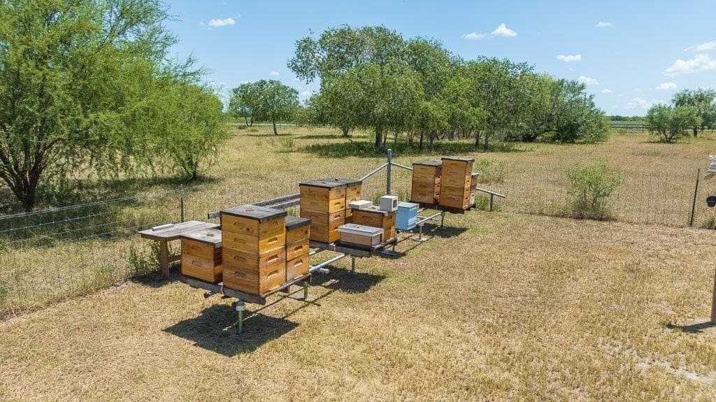7.56 acres in San Patricio County - photo 15
