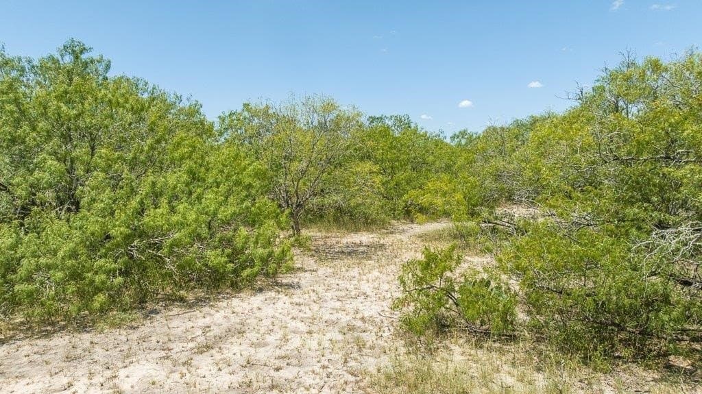 7.56 acres in San Patricio County - photo 22