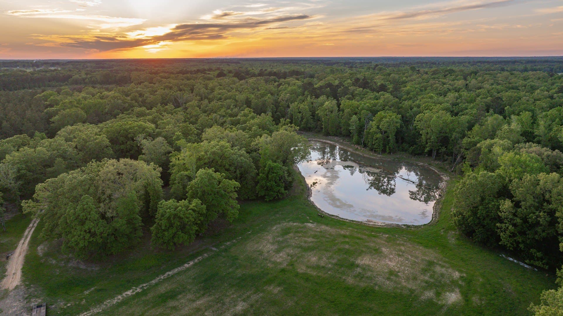 184.82 acres in Bowie County - photo 6