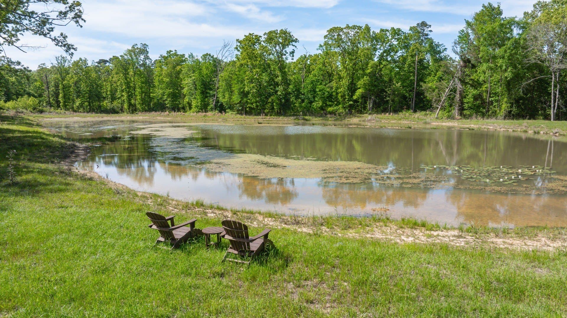 184.82 acres in Bowie County - photo 3