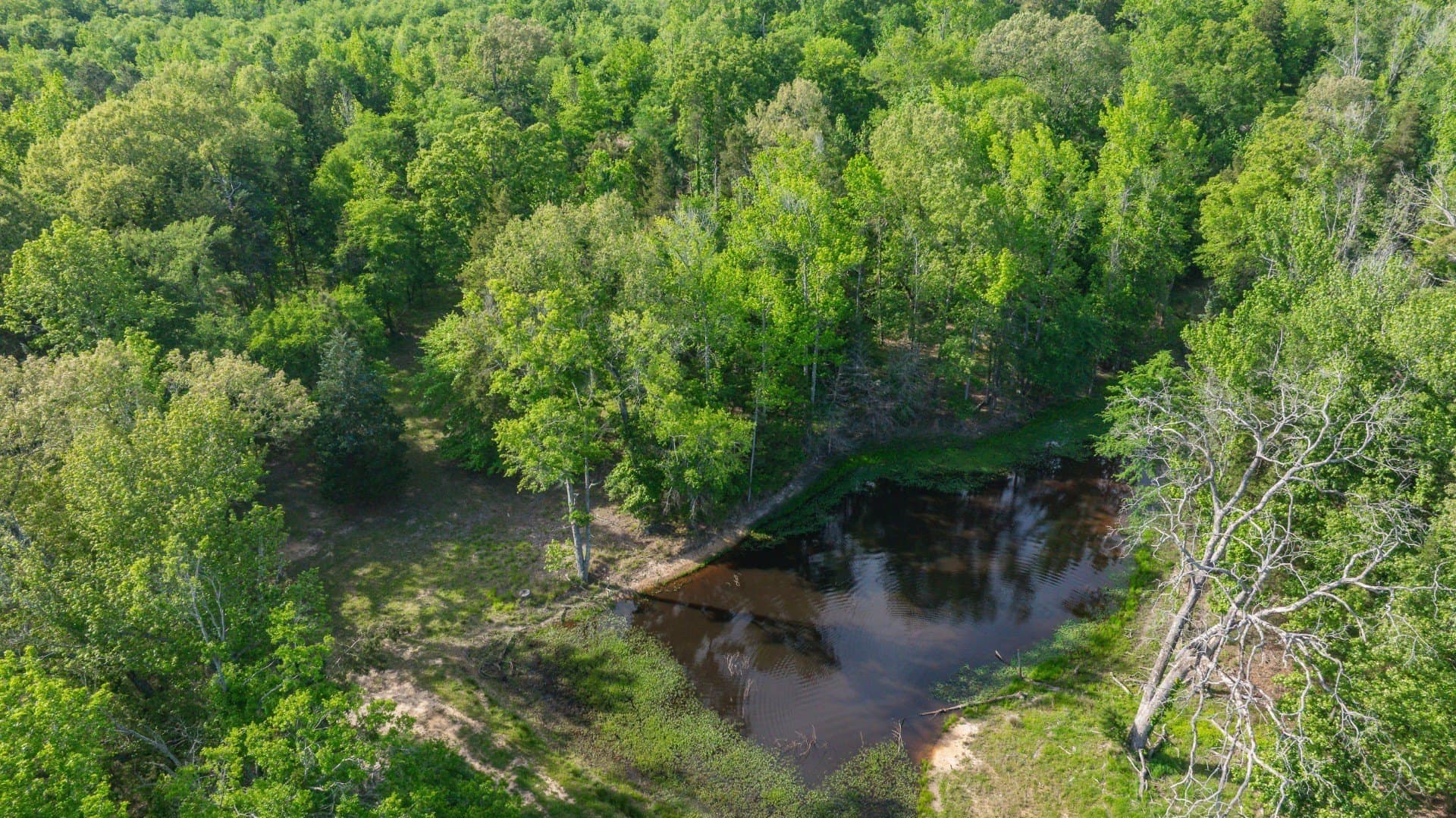 184.82 acres in Bowie County - photo 35