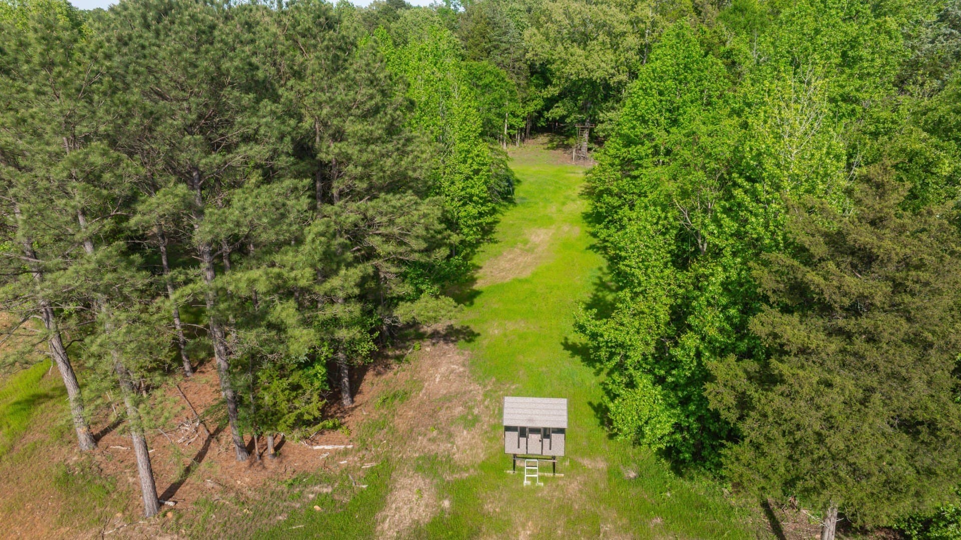 184.82 acres in Bowie County - photo 36