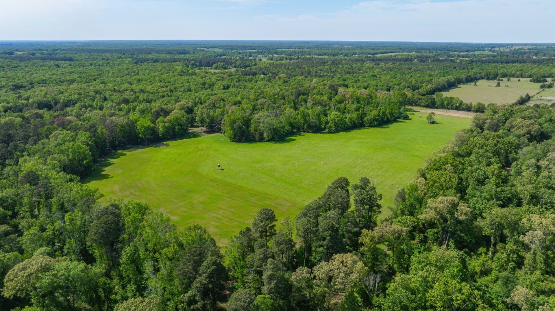184.82 acres in Bowie County - photo 5