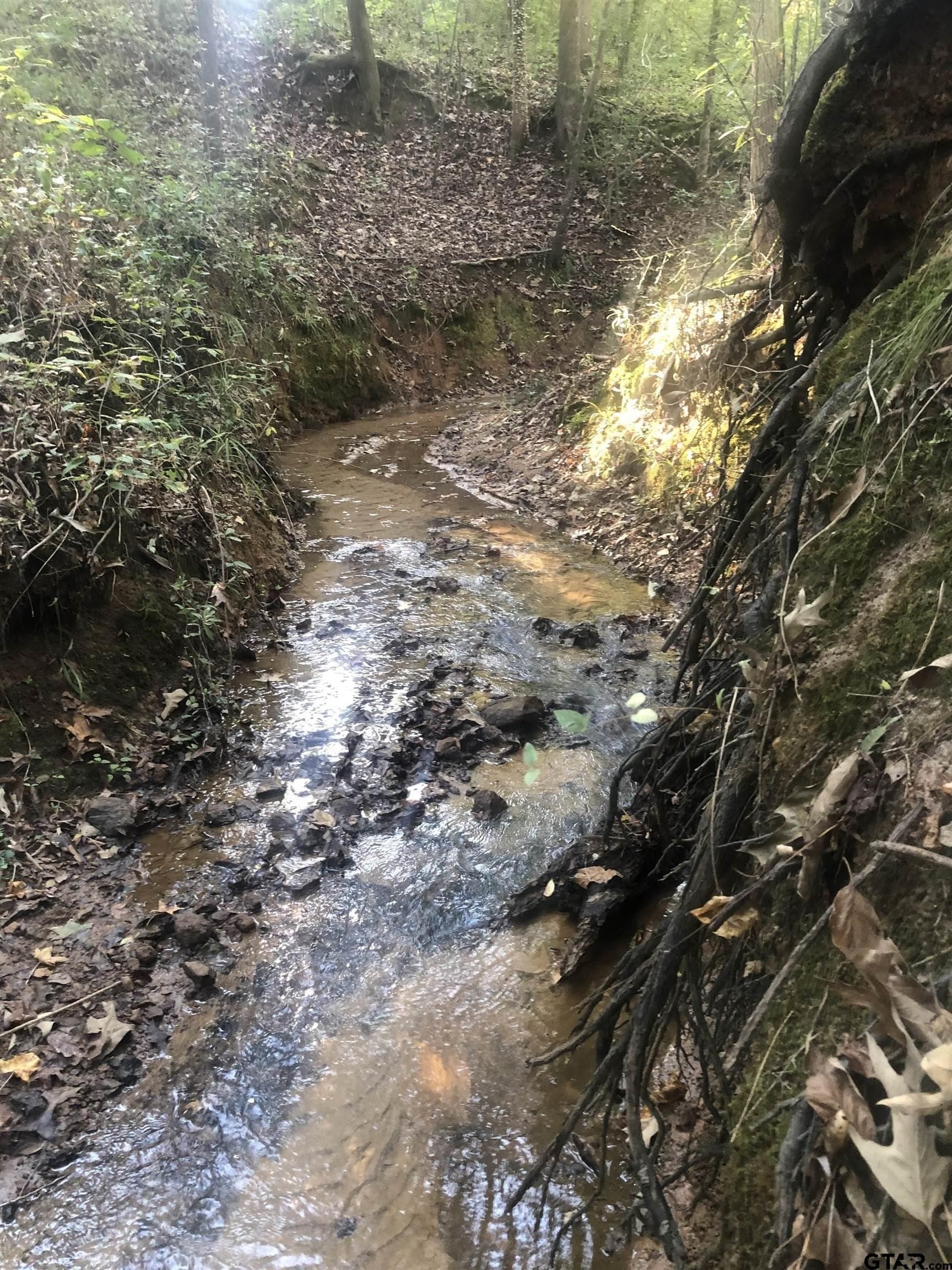 15.04 acres in Smith County gallery image 4