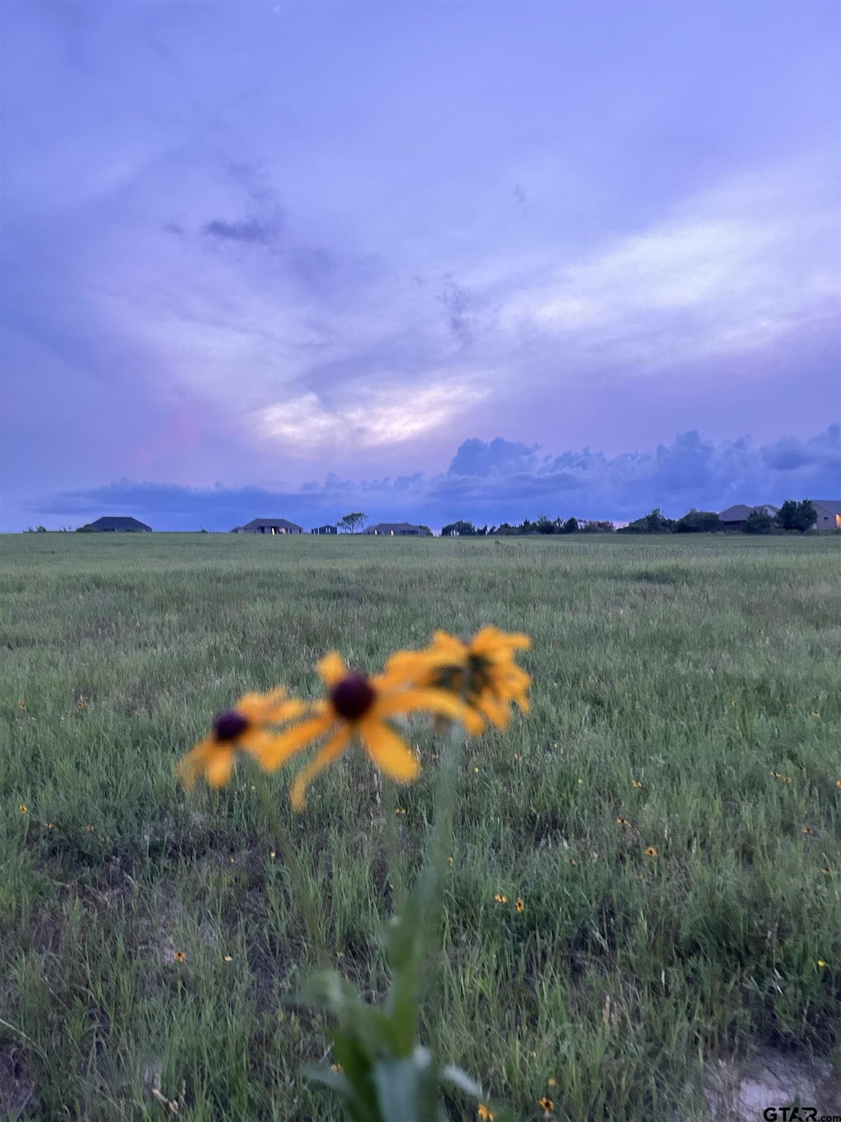 15.04 acres in Smith County gallery image 3