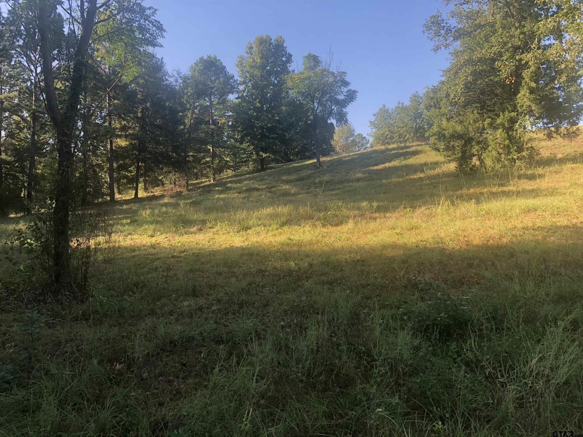 15.04 acres in Smith County featured view