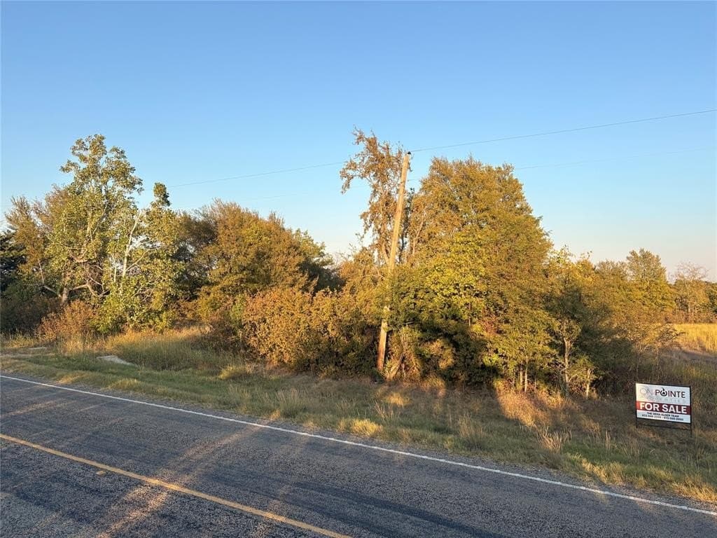 16.07 acres in Fannin County gallery image 3