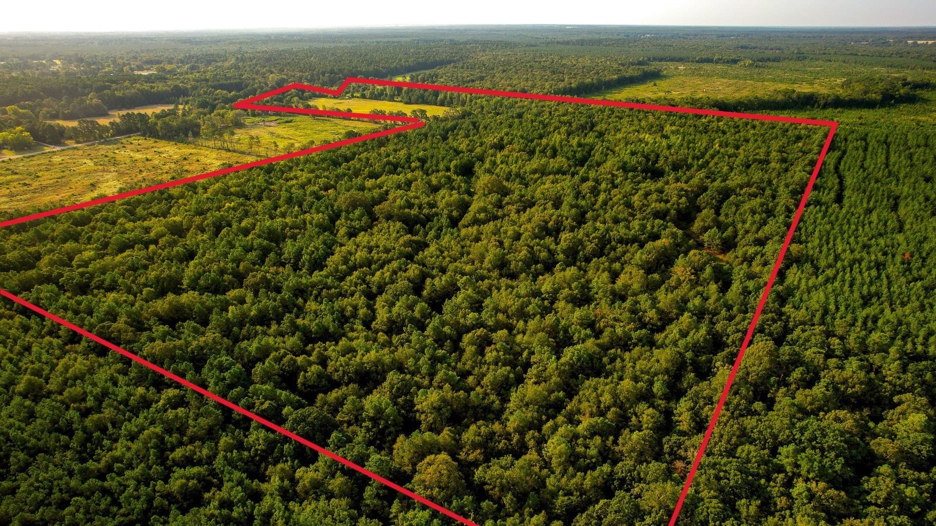 115 acres in Red River (TX) County - photo 5