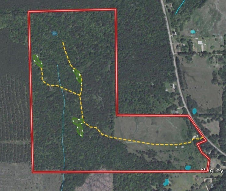 115 acres in Red River (TX) County - photo 38