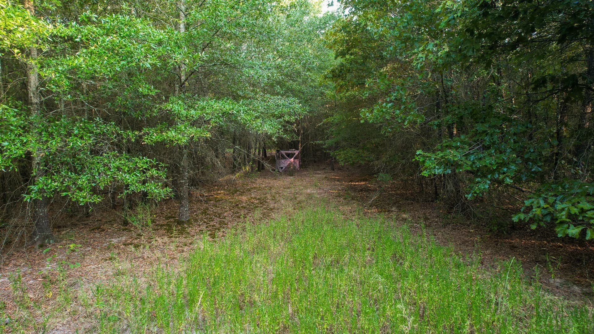 115 acres in Red River (TX) County - photo 14