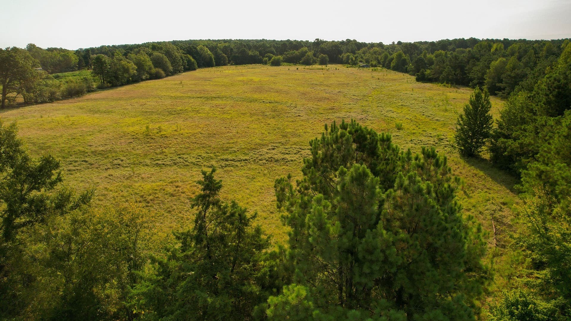 115 acres in Red River (TX) County - photo 31