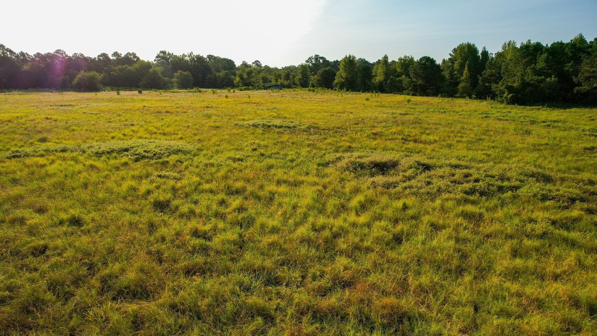 115 acres in Red River (TX) County - photo 33