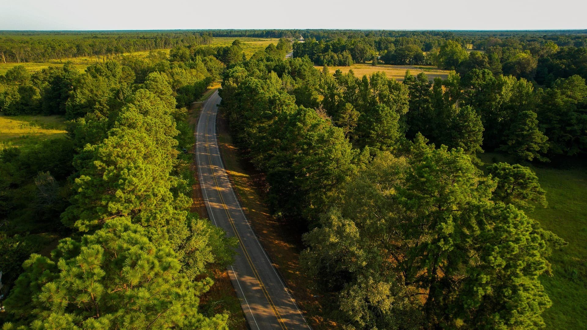 115 acres in Red River (TX) County - photo 35