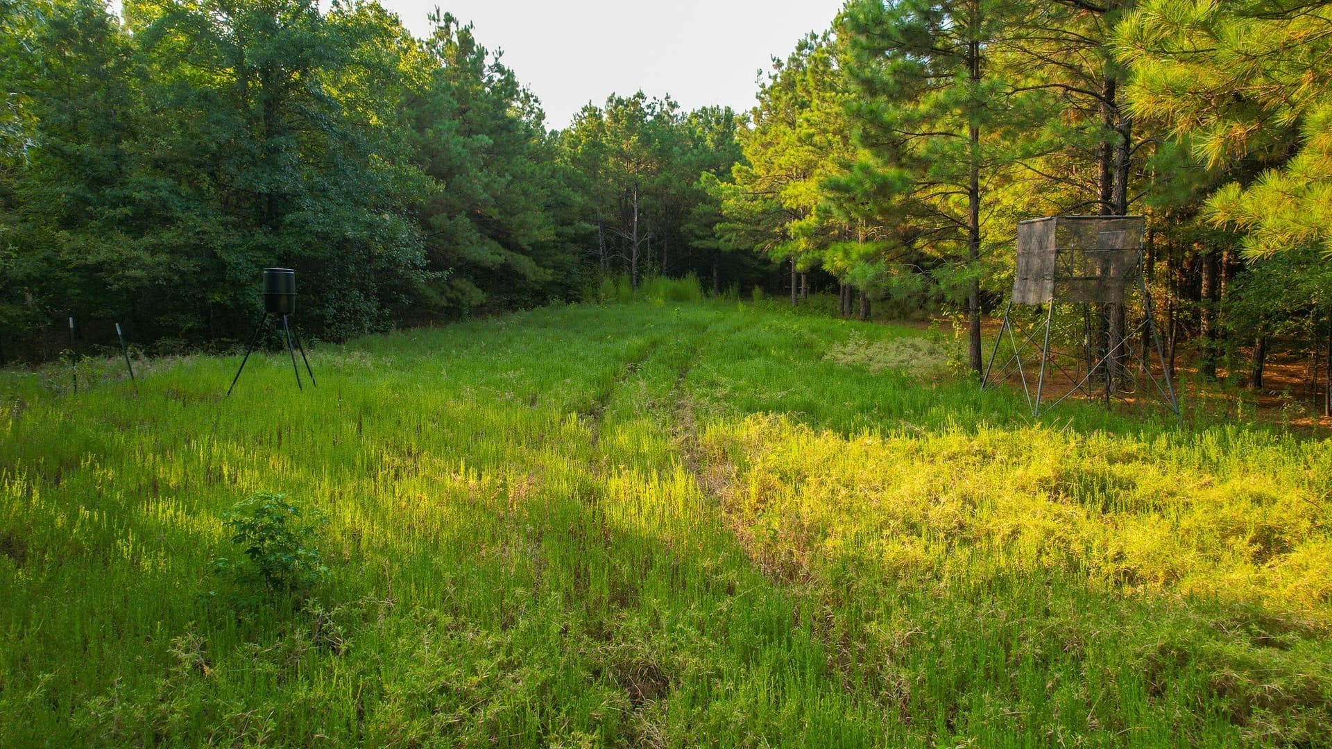 115 acres in Red River (TX) County - photo 12