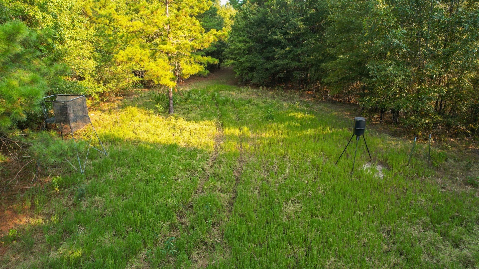 115 acres in Red River (TX) County - photo 13