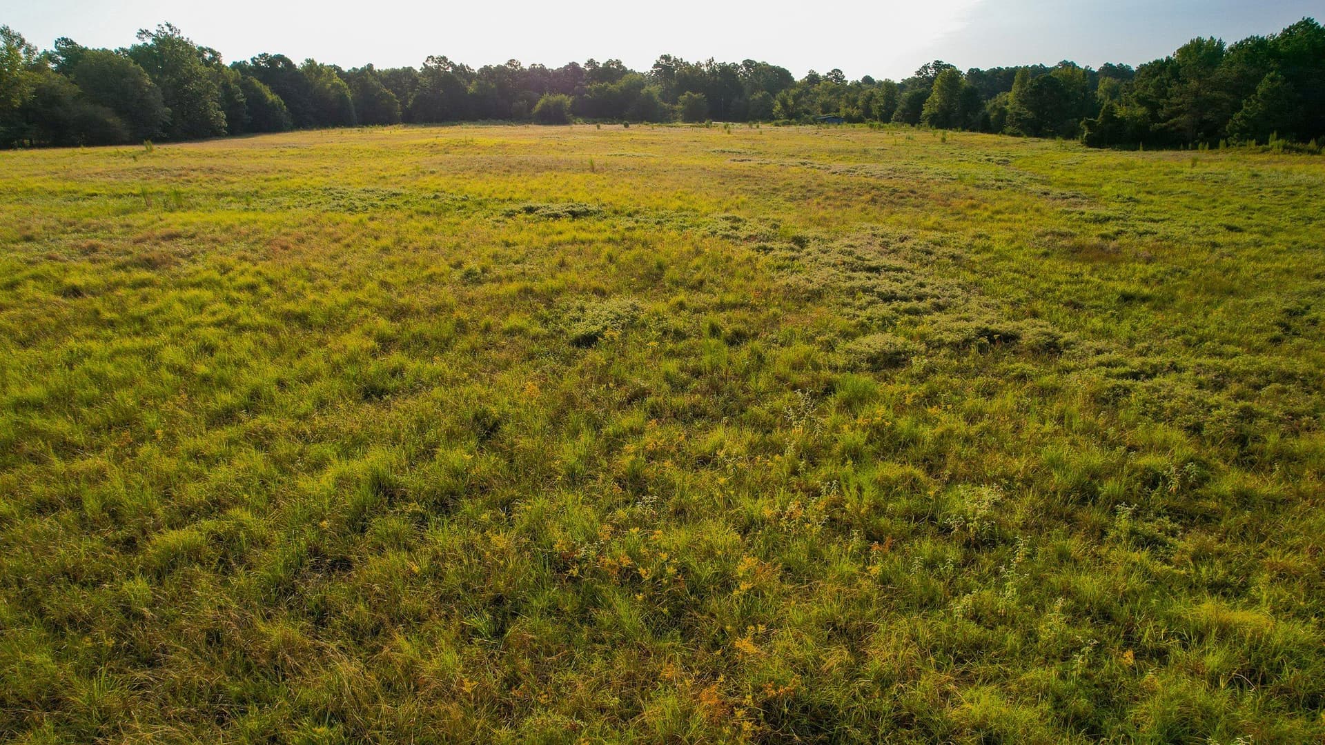 115 acres in Red River (TX) County - photo 32
