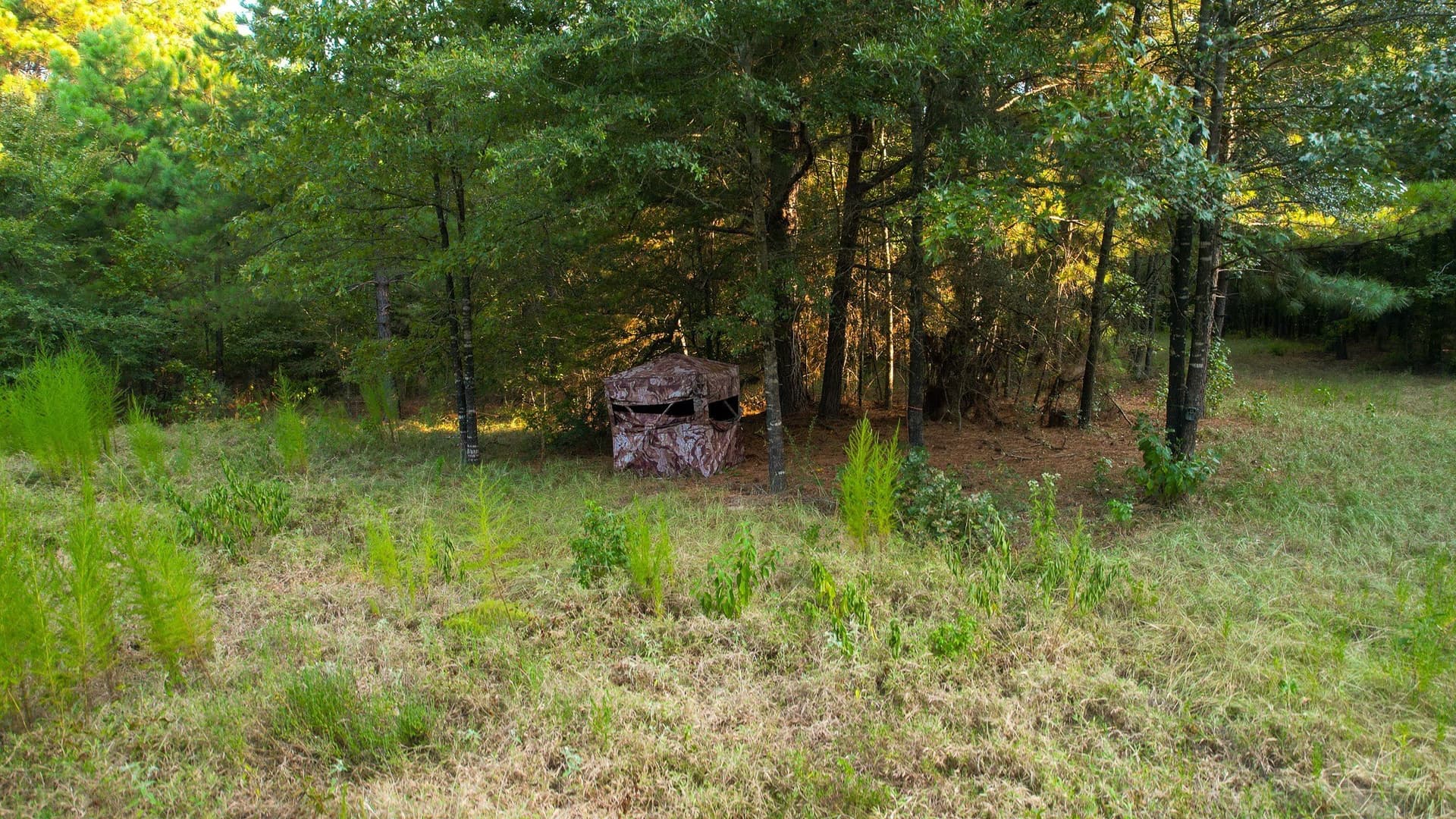 115 acres in Red River (TX) County - photo 15