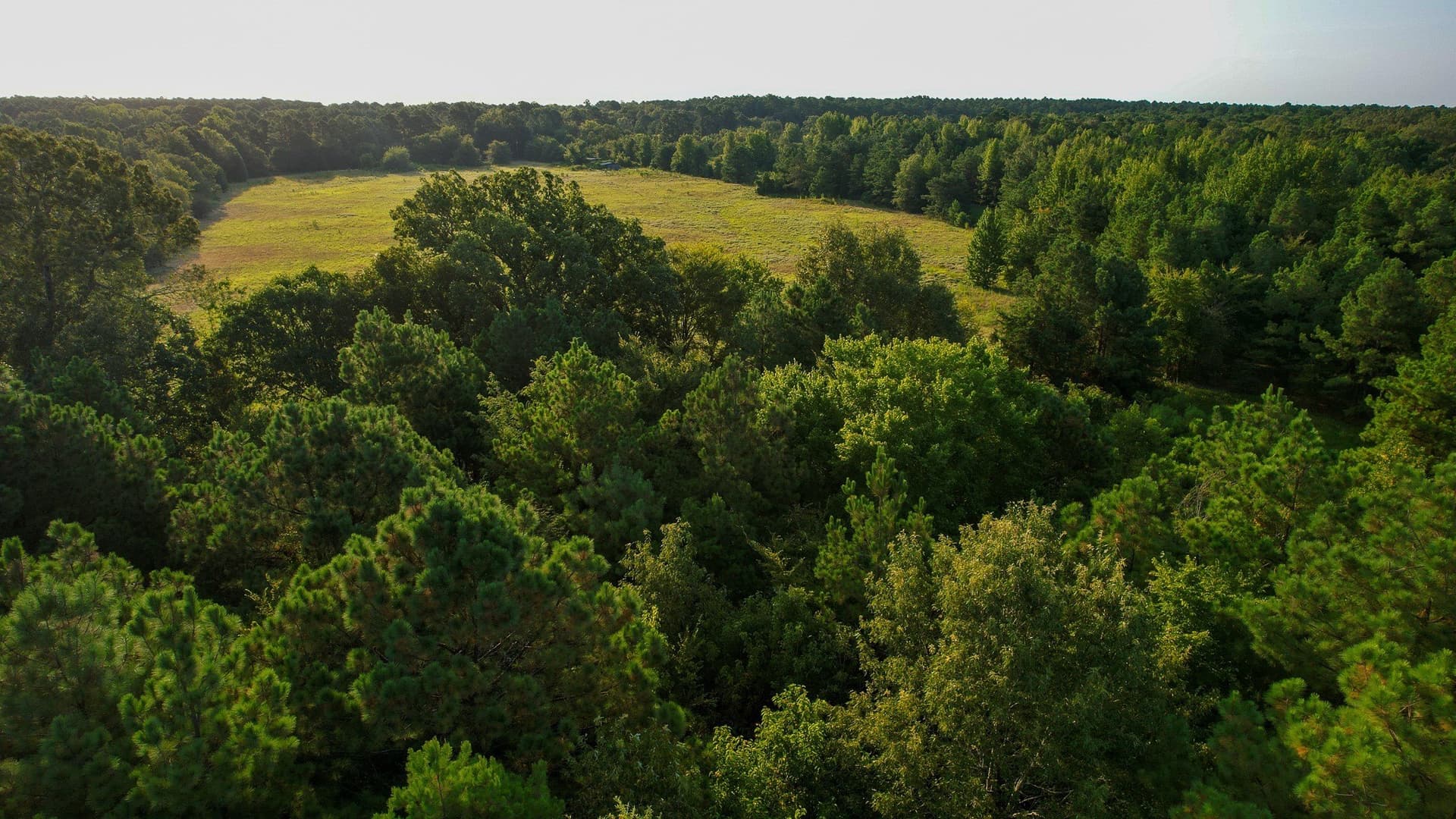 115 acres in Red River (TX) County - photo 30