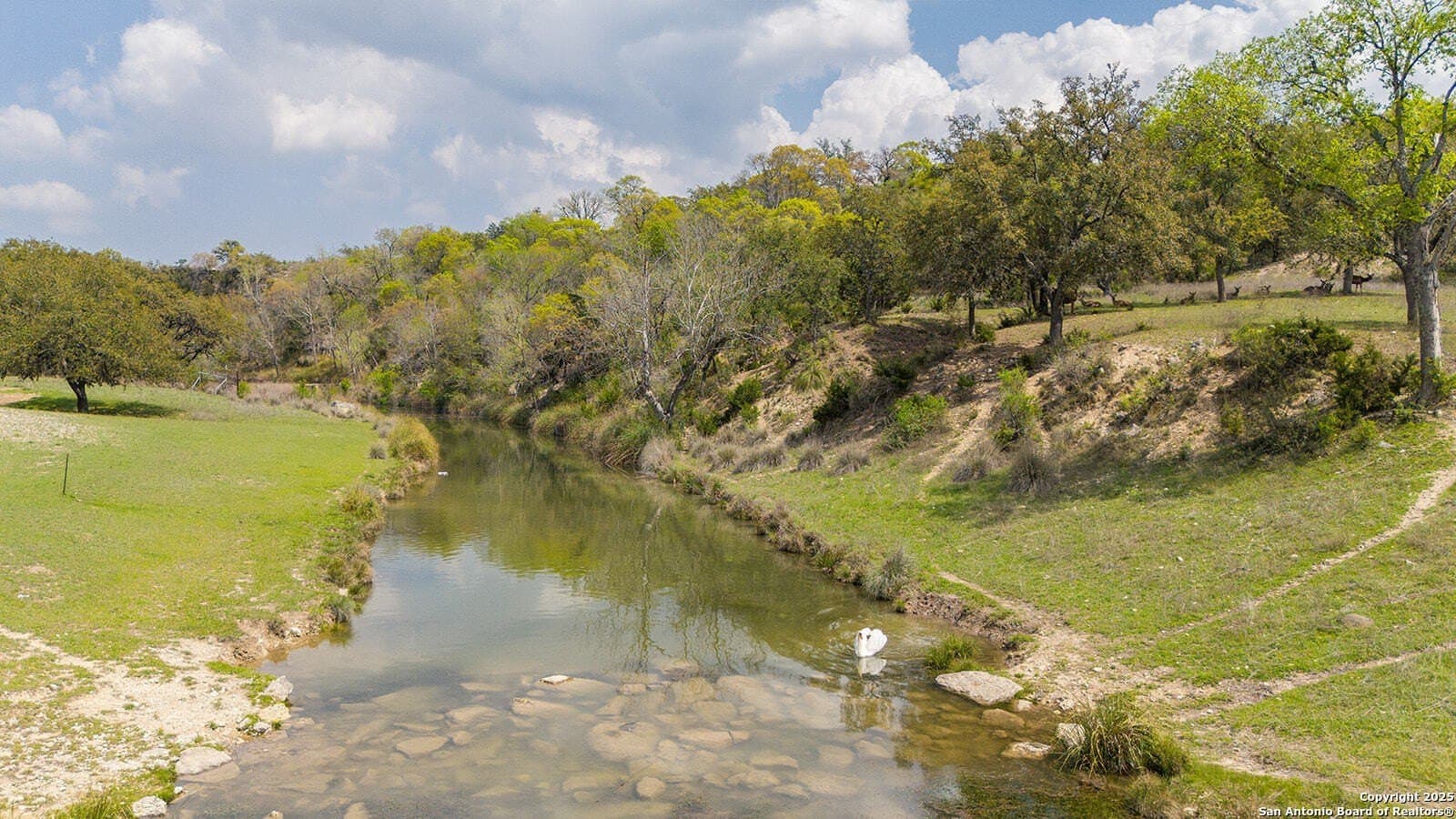 6.21 acres in Bandera County gallery image 4