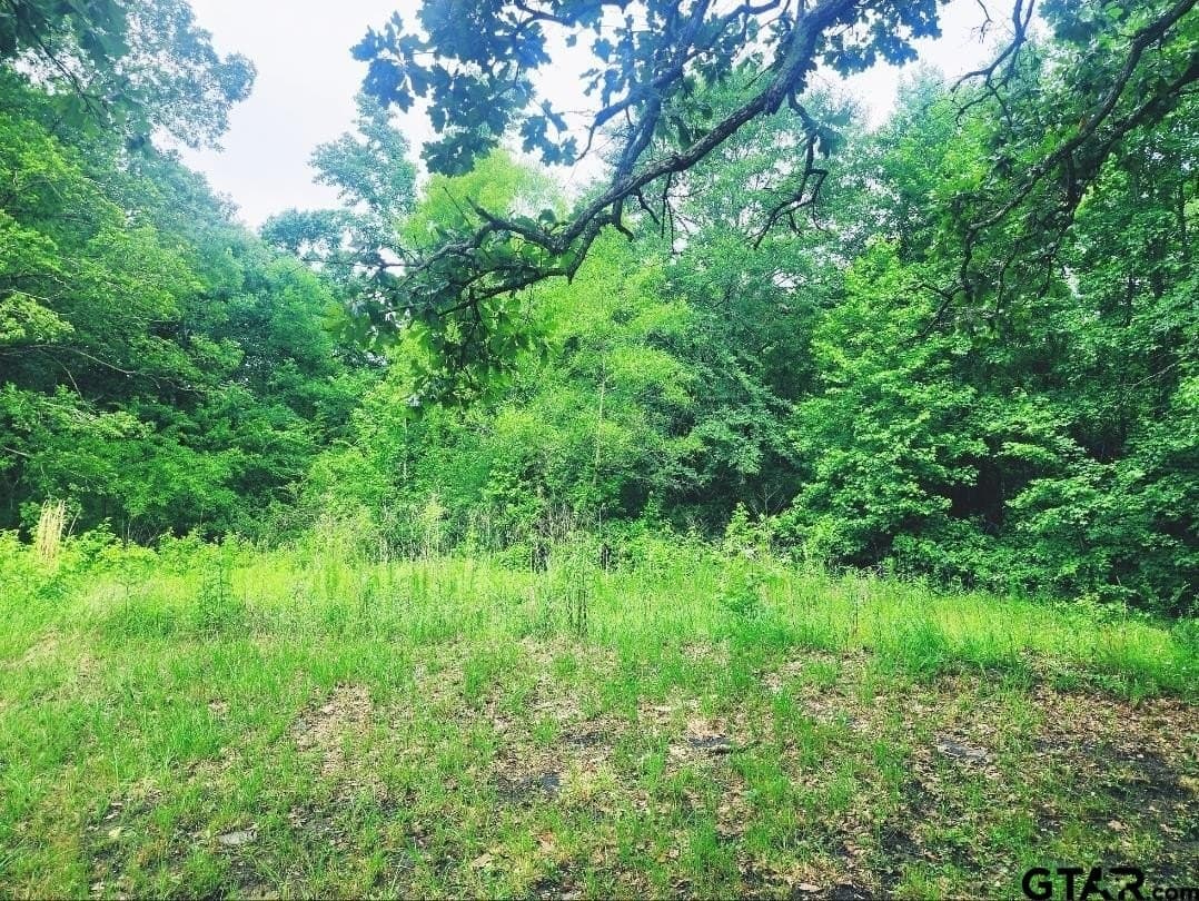 1 acres in Harrison County gallery image 3