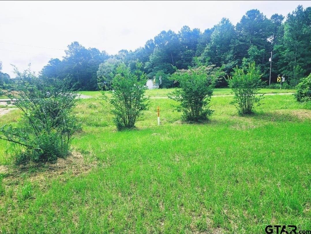 1 acres in Harrison County gallery image 2