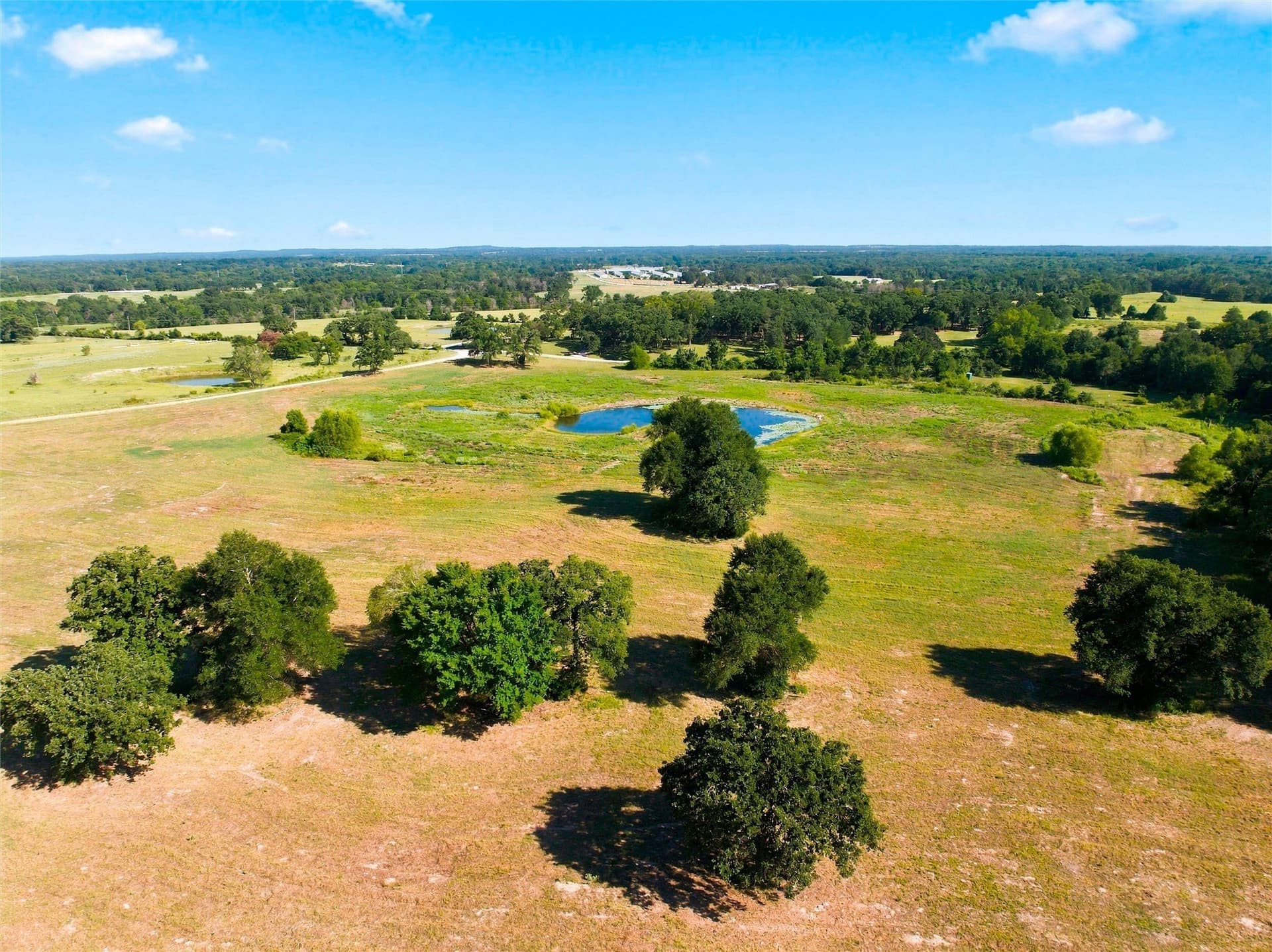 21.5 acres in Freestone County - photo 11