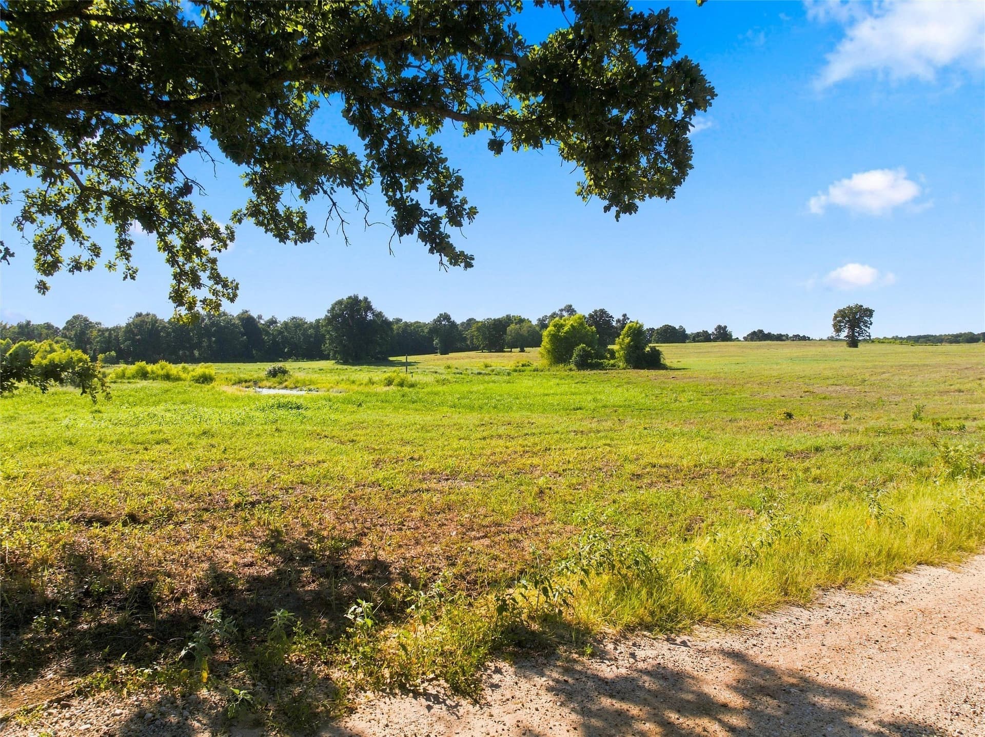 21.5 acres in Freestone County - photo 21