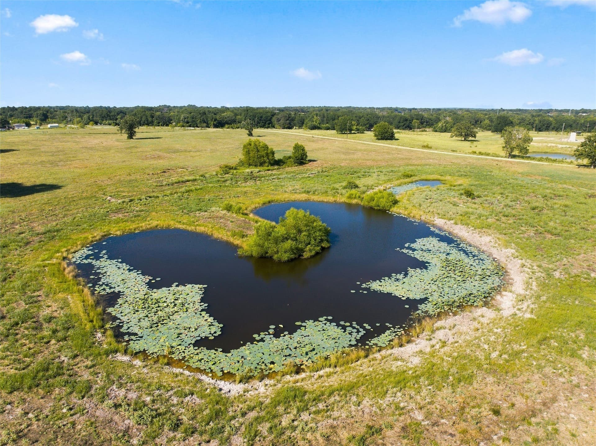 21.5 acres in Freestone County - photo 5