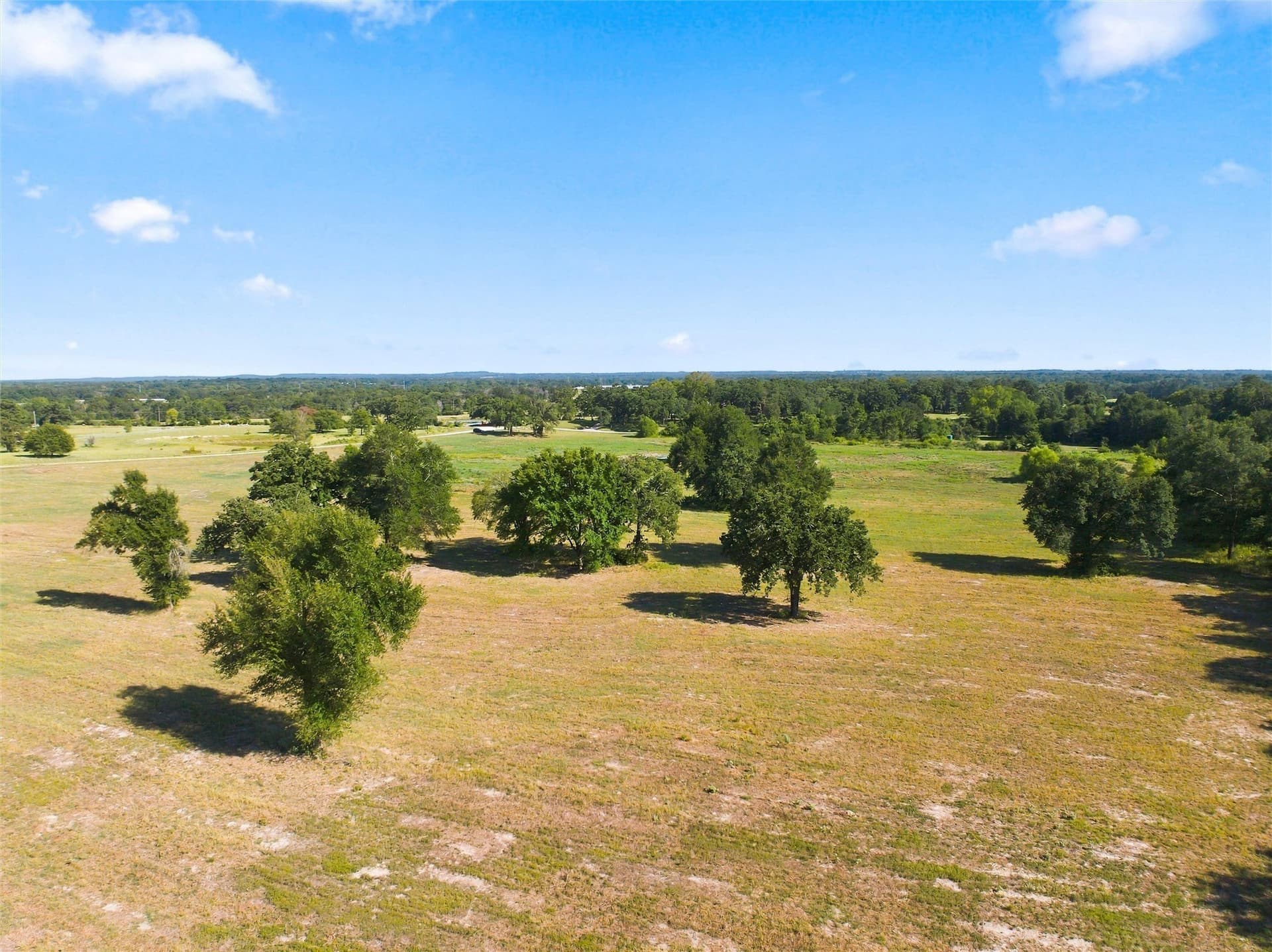 21.5 acres in Freestone County - photo 16