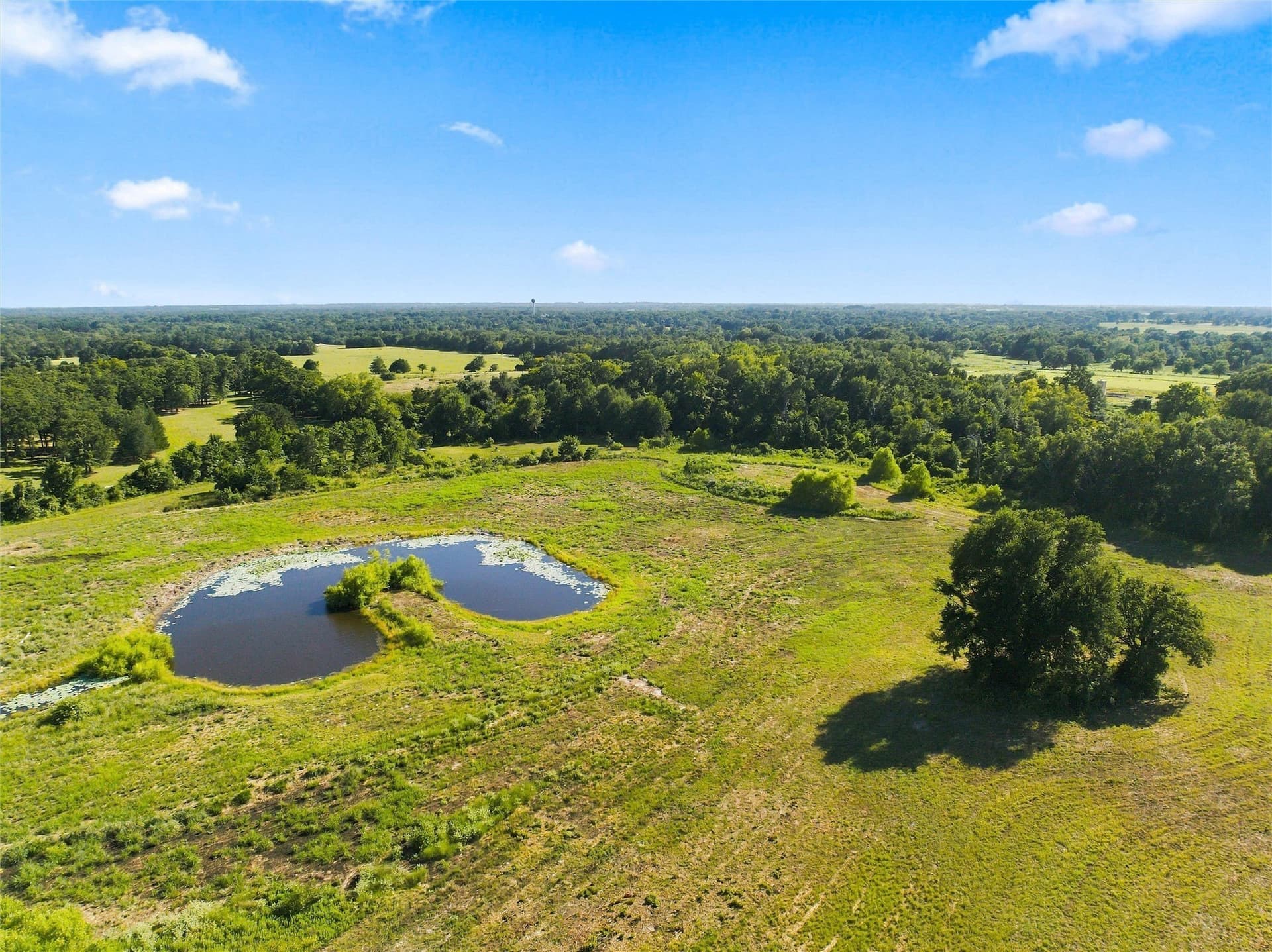 21.5 acres in Freestone County - photo 8