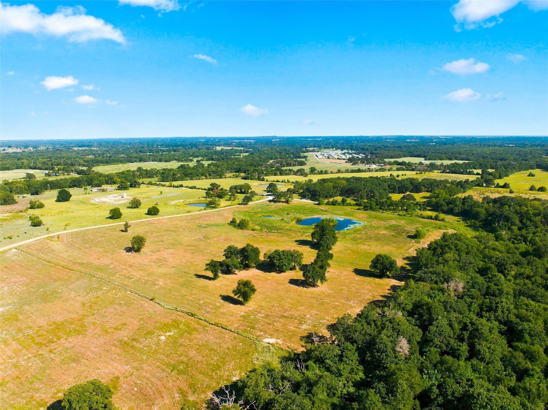 21.5 acres in Freestone County - photo 22