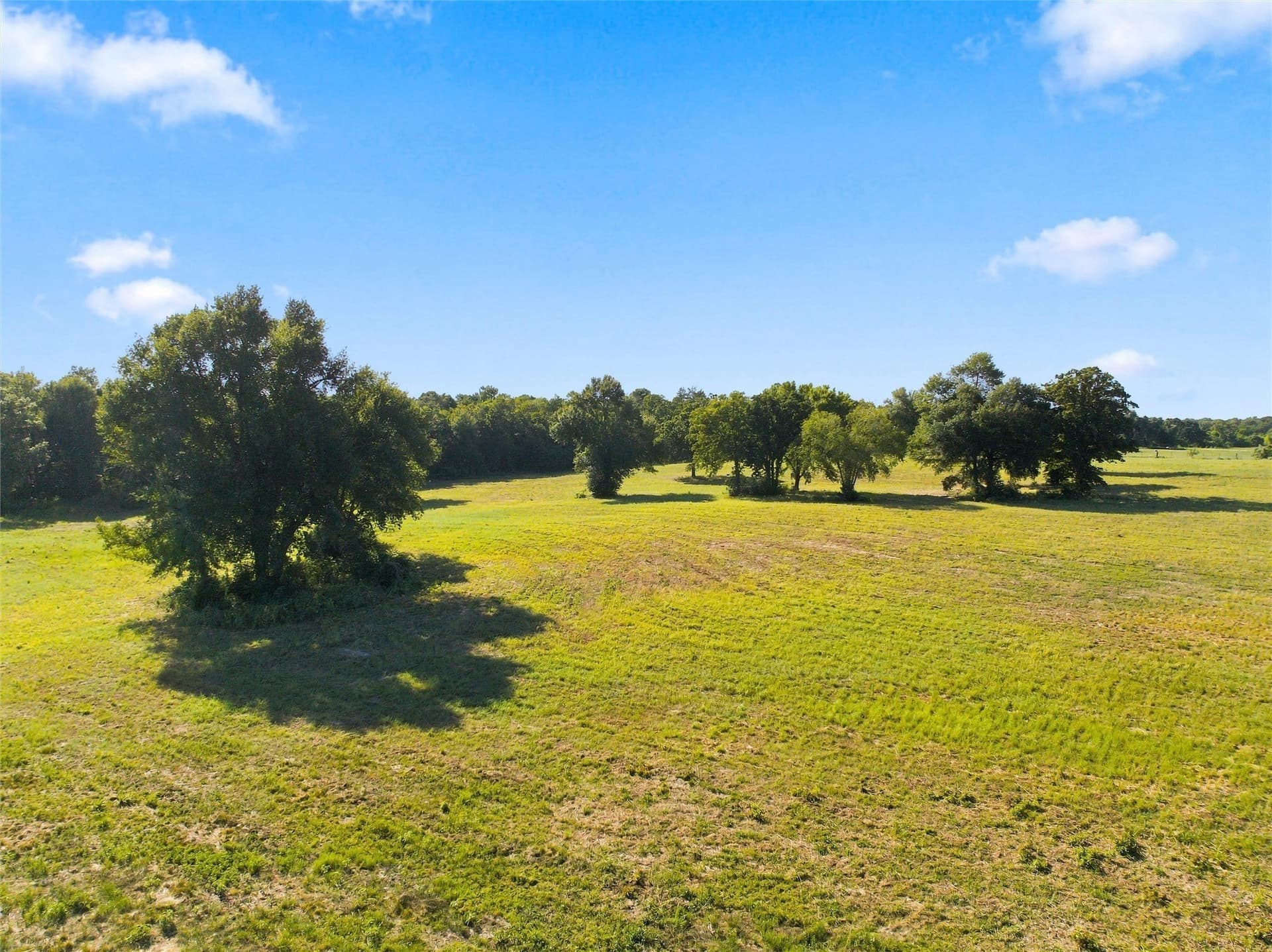 21.5 acres in Freestone County - photo 17