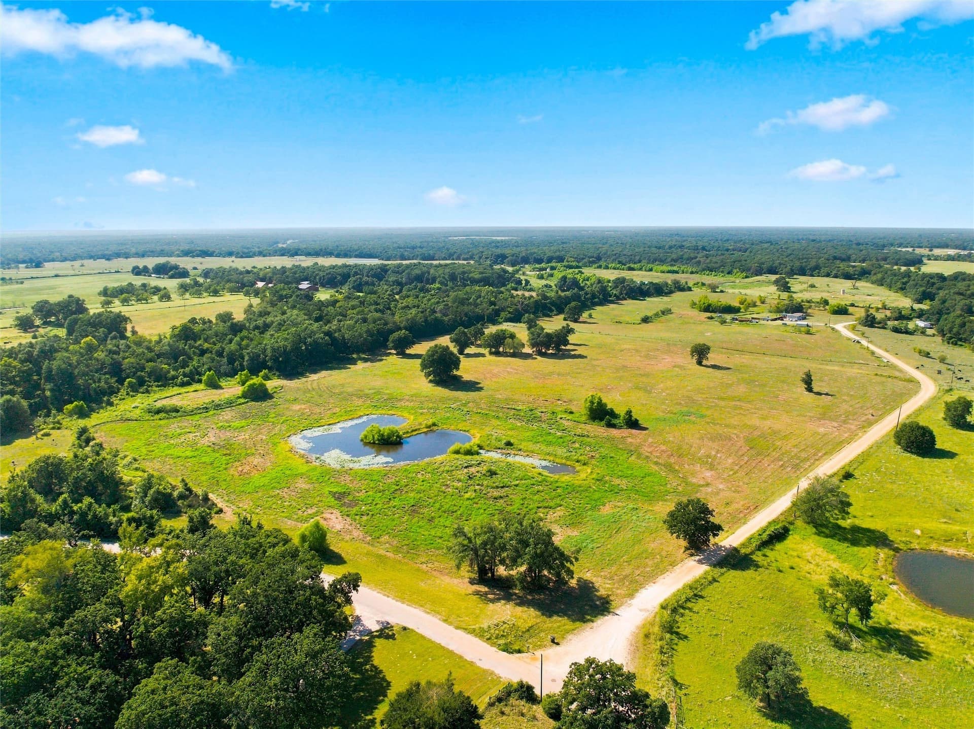 21.5 acres in Freestone County - photo 15