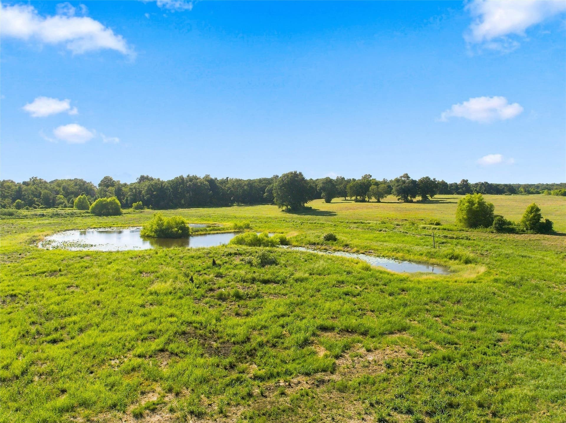 21.5 acres in Freestone County - photo 18