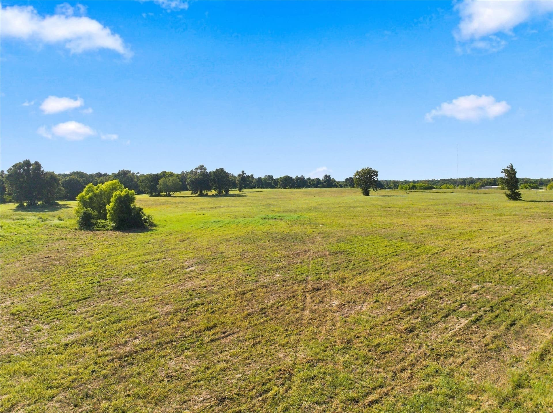 21.5 acres in Freestone County - photo 12