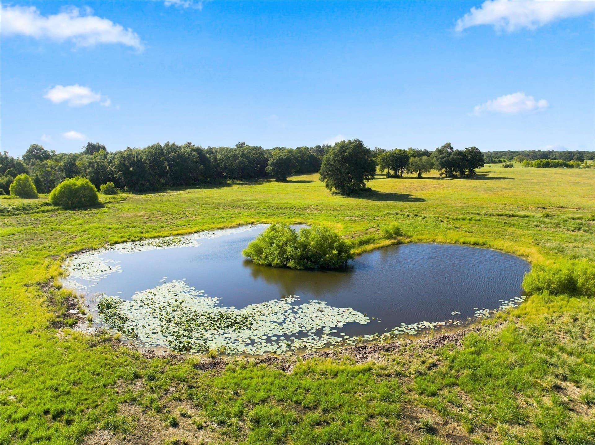 21.5 acres in Freestone County - photo 3