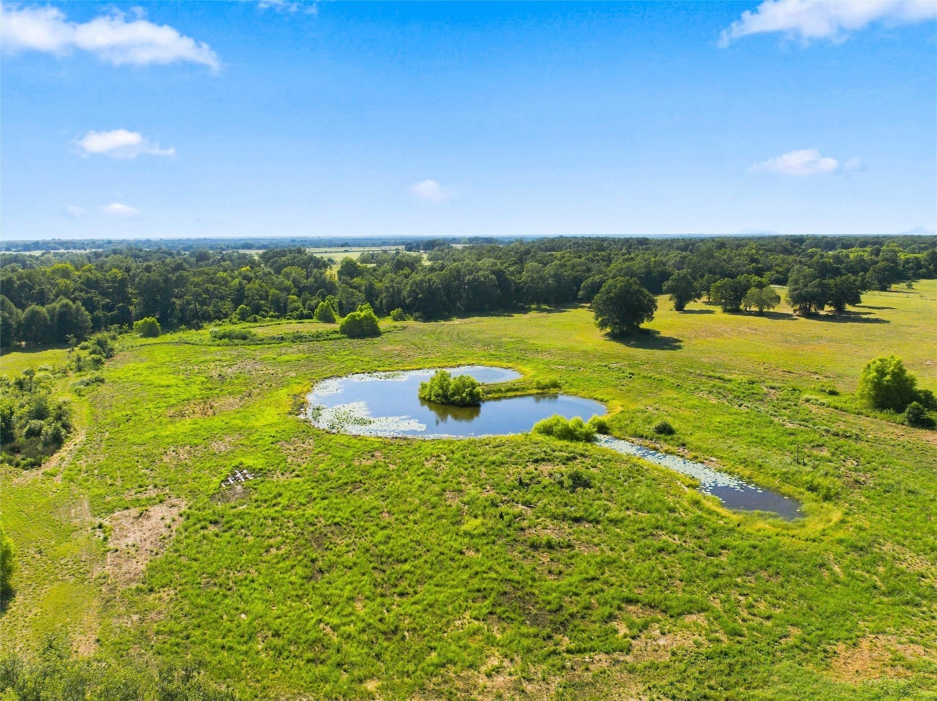 21.5 acres in Freestone County - photo 9
