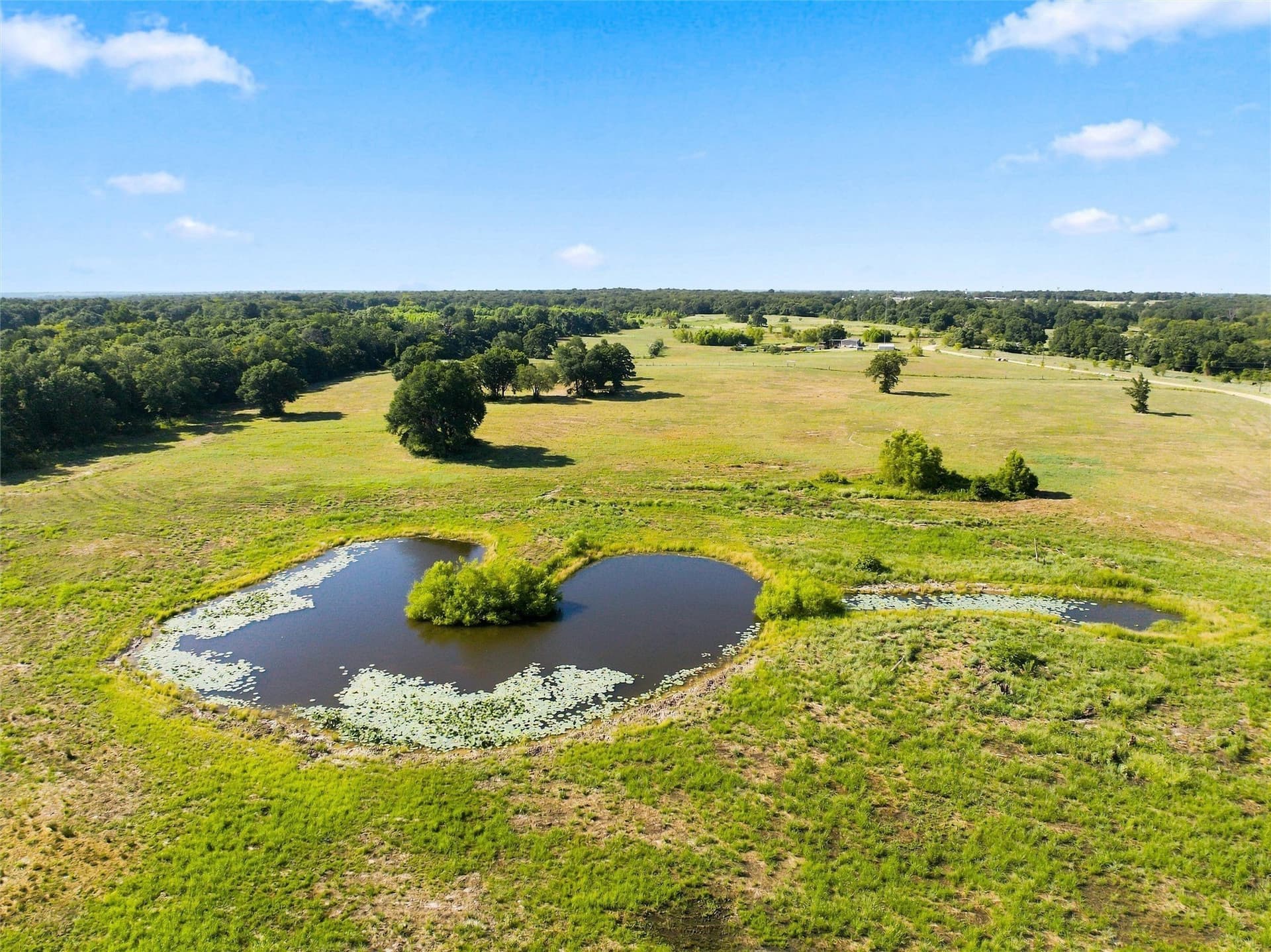 21.5 acres in Freestone County - photo 6