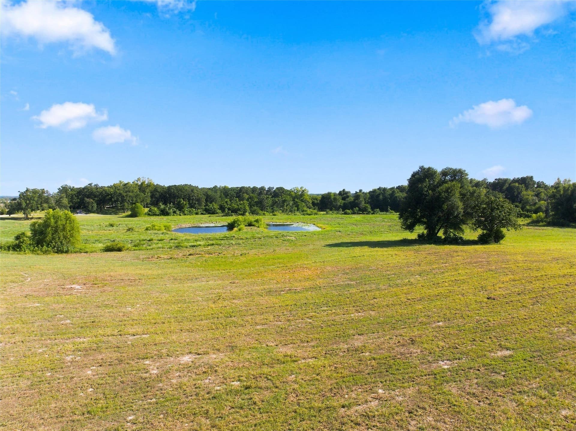 21.5 acres in Freestone County - photo 14