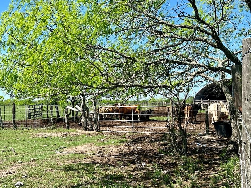 29.99 acres in Texas County - photo 13