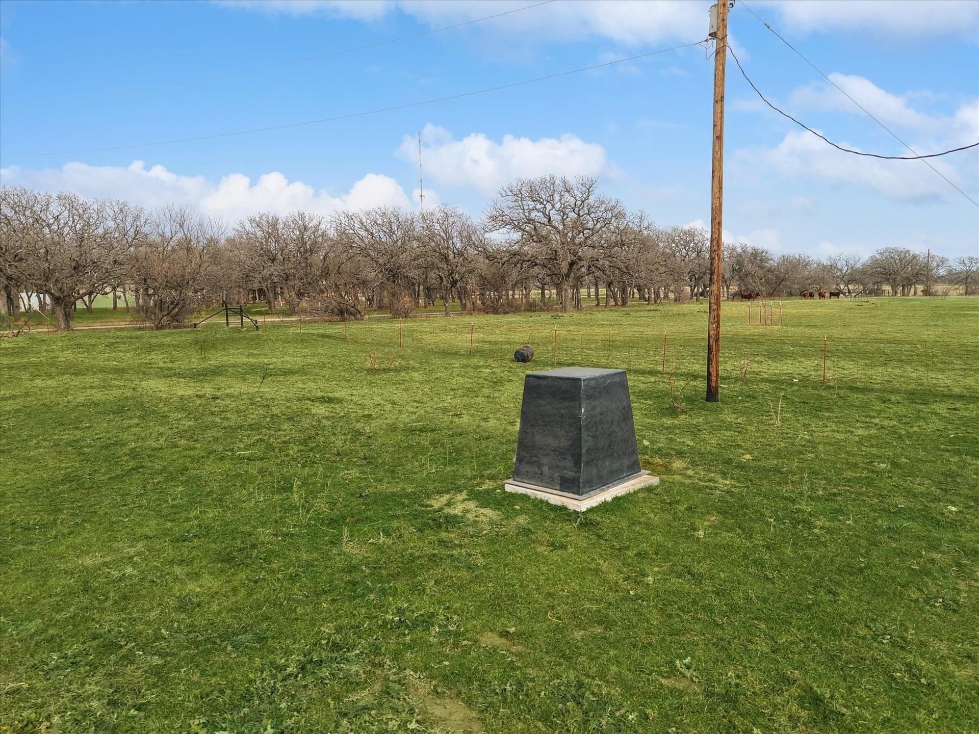 10.44 acres in Jack County - photo 3