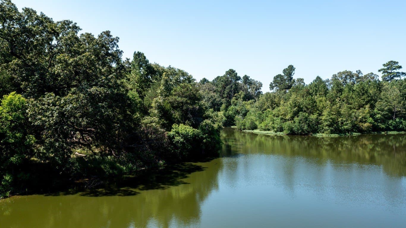 393 acres in Shelby County gallery image 3