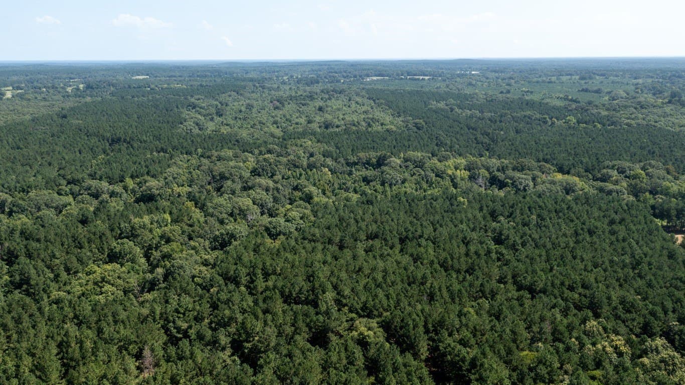393 acres in Shelby County gallery image 4
