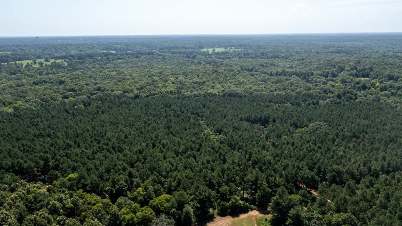 393 acres in Shelby County featured view