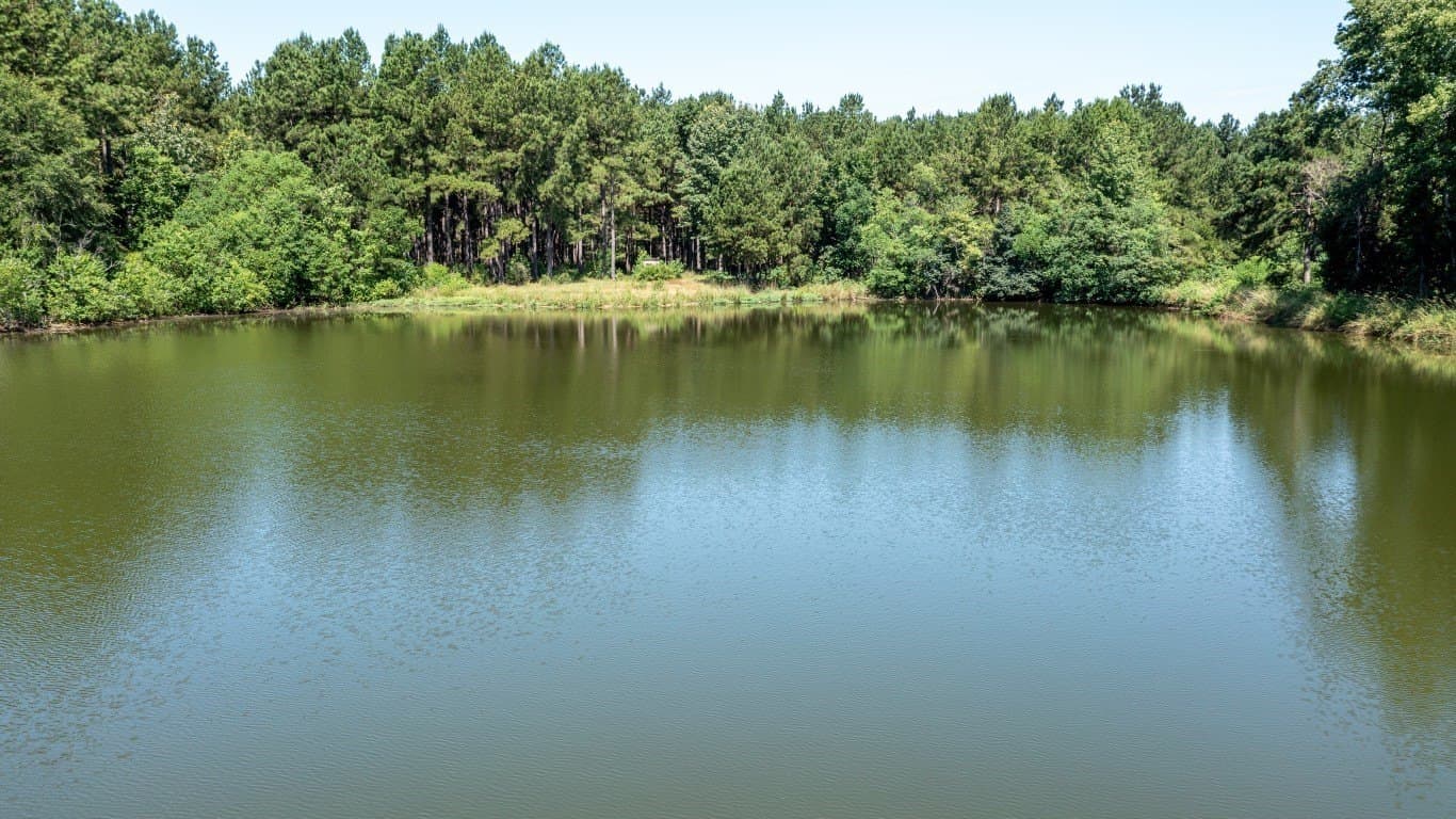 393 acres in Shelby County