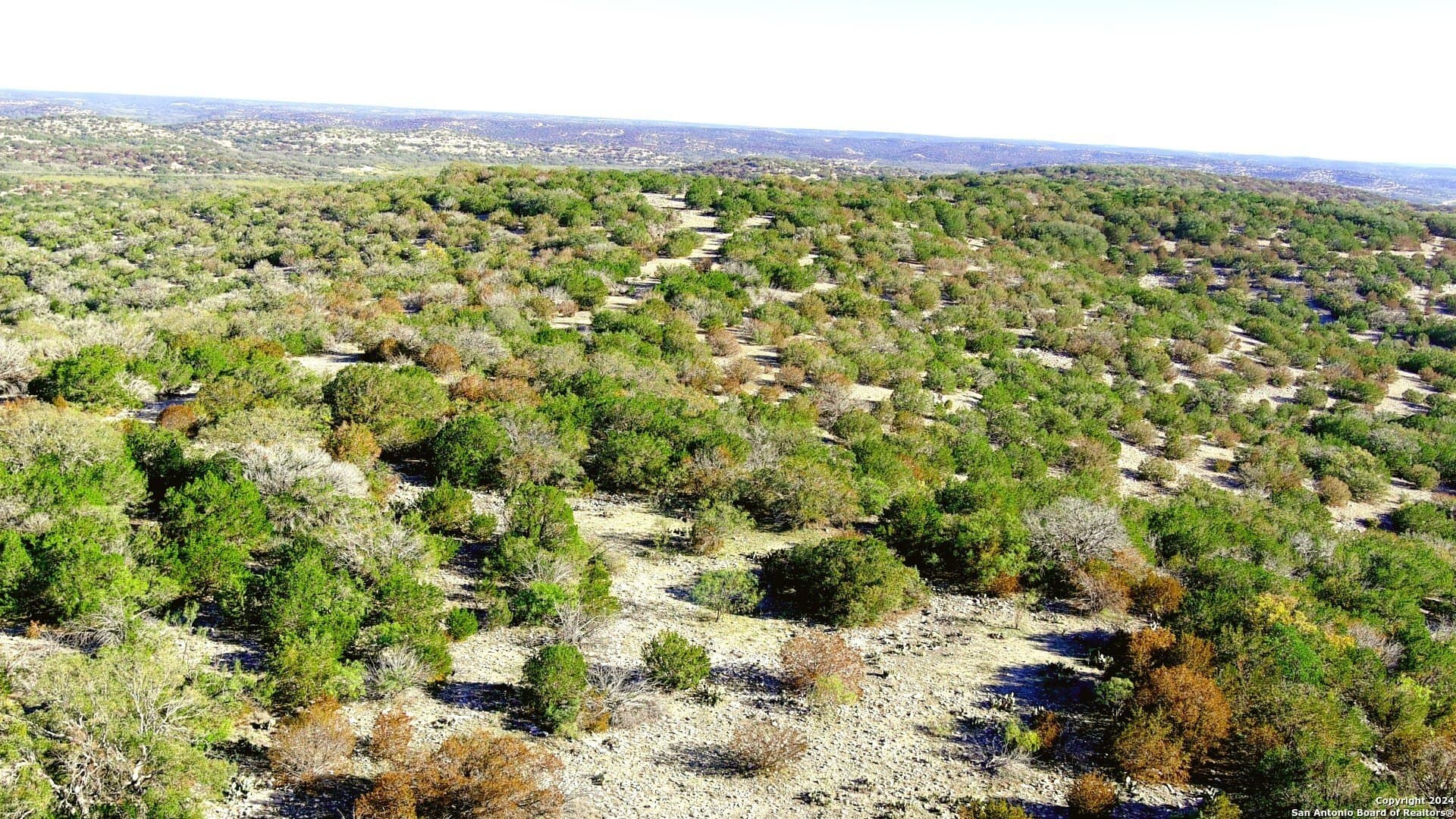 145 acres in Edwards County gallery image 4