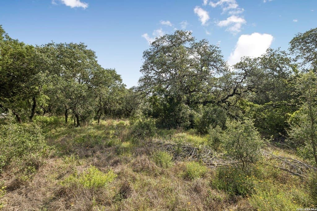 10.71 acres in Kendall County - photo 31